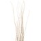 Uniquewise 12 pcs Natural Decorative Dry Branches Authentic Sticks, Home Decoration and Wedding Craft, DIY Greenery Plants Craft Vases fillers Garden Hotel Farmhouse Decor